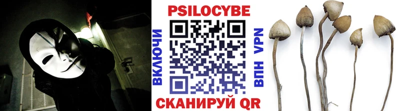 shop состав  Харовск  Псилоцибиновые грибы Magic Shrooms  купить  